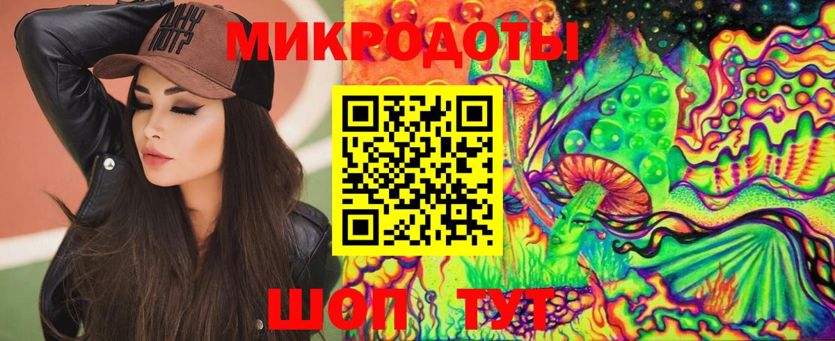 Галлюциногенные грибы Psilocybine cubensis Железногорск